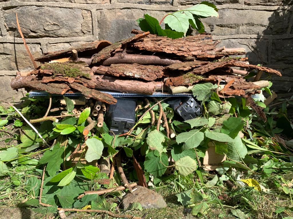 The Bug House in the Garden